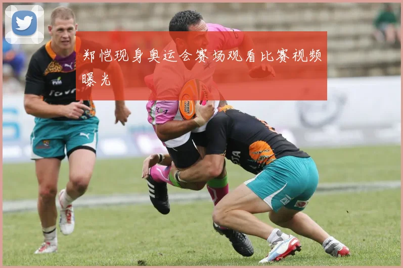 郑恺现身奥运会赛场观看比赛视频曝光