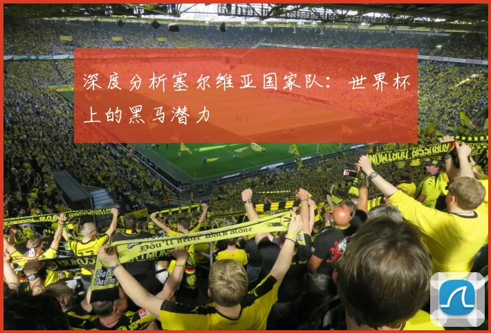 深度分析塞尔维亚国家队：世界杯上的黑马潜力