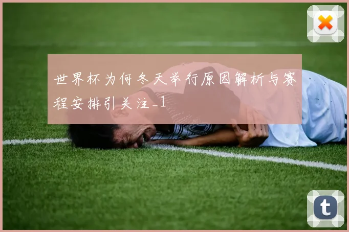 世界杯为何冬天举行原因解析与赛程安排引关注_1