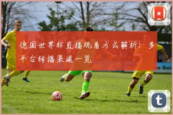 德国世界杯直播观看方式解析:多平台转播渠道一览