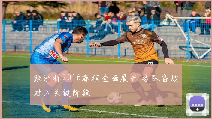 欧洲杯2016赛程全面展开 各队备战进入关键阶段